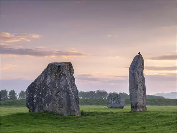 Avebury Stone Circle at dawn, Avebury, Wiltshire, England