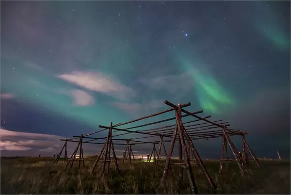 Low angle view Aurora borealis over wooden stands for fish drying at night, Reykjavik