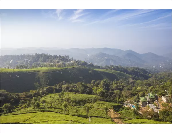 India, Kerala, Munnar, View over tea estates