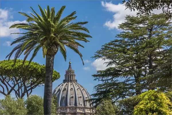 europe, Italy, Latium. Rome, the Dome of Saint Peter