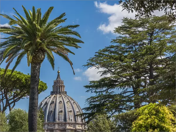 europe, Italy, Latium. Rome, the Dome of Saint Peter