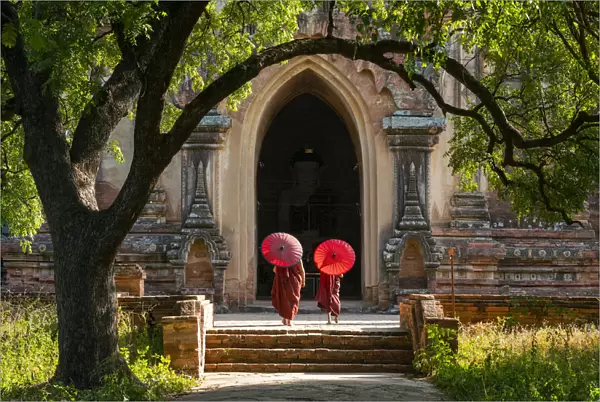Two novice Buddhist monks with red umbrellas walking to temple, Bagan, Mandalay Region