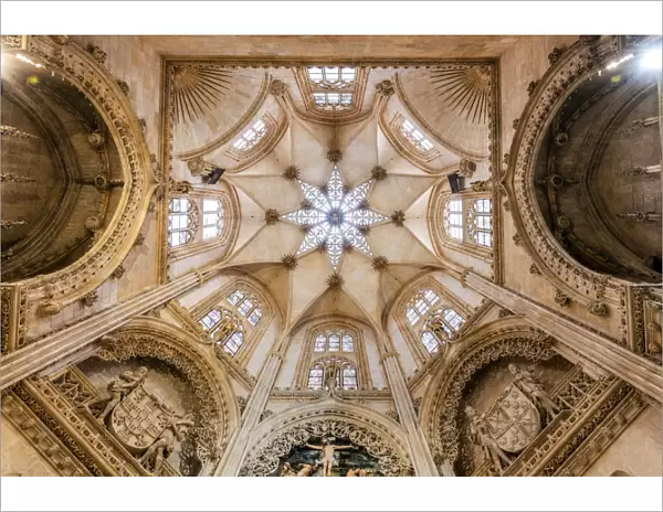 Ceiling of Constable chapel, Cathedral of Saint Mary of Burgos, Burgos, Castile and Leon