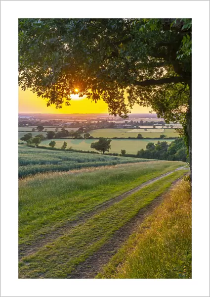 UK, England, Bedfordshire, countryside near Haynes