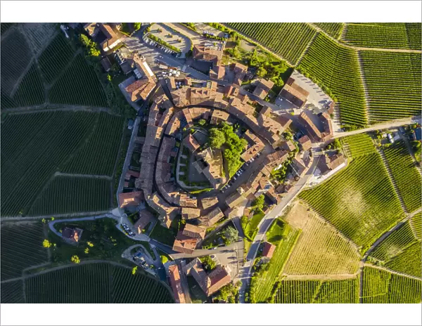 Birds eye view of the medieval town of Serralunga d Alba and its castle