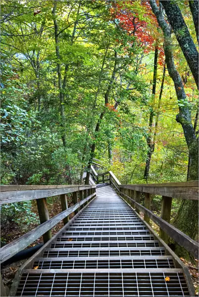 USA, Georgia, Tallulah Gorge State Park, Stairway Down To Tallulah River