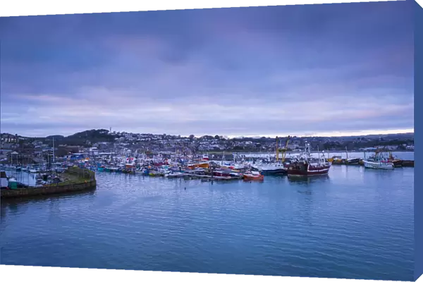Newlyn harbour, Penzance, Cornwall, England, UK