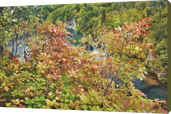 Autum colours - Croatia, Lika-Senj, Plitvice Lakes - Plitvice Lakes National Park
