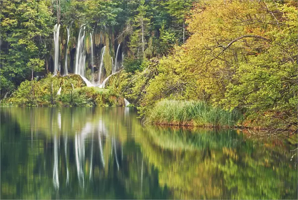 Waterfall in beech forest - Croatia, Lika-Senj, Plitvice Lakes - Plitvice Lakes National