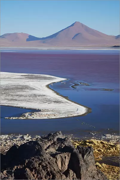 The red-lagoon (Laguna Colorada), Potosi, Bolivia. A salt lake located in the Bolivian
