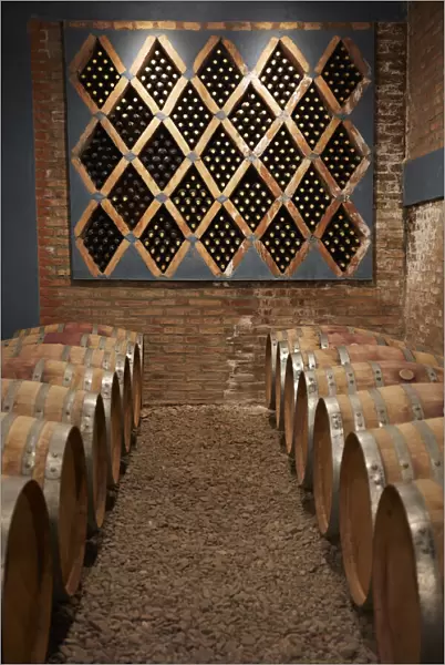Oak barrels and vintage wine bottles in the cave of the Bodega 'Las Arcas de Tolombon' winery, Colalao del Valle, Calchaqui Valleys, Tucuman, Argentina