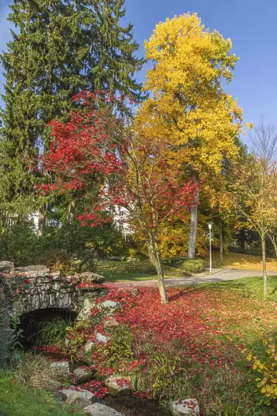 Neropark in autumn, Wiesbaden, Hesse, Germany