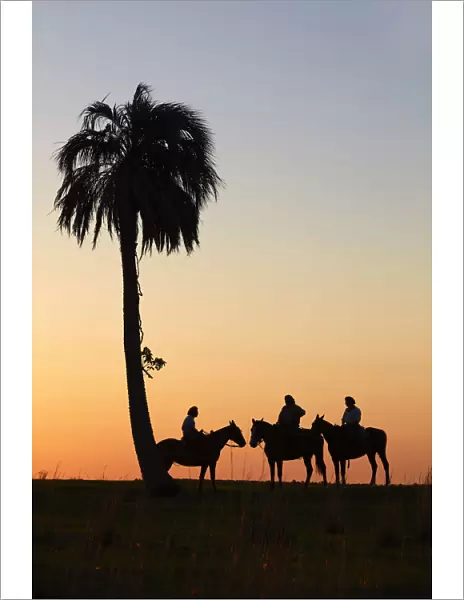Gauchos on horseback at sunset, Estancia Buena Vista, Esquina, Corrientes, Argentina