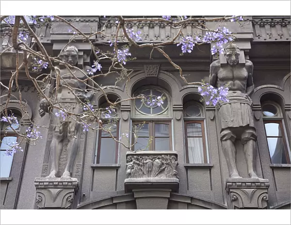 'Atlases'over the main facade of the Otto Wulff buiding with a Jacaranda flowering plant in foreground, Monserrat, Buenos Aires, Argentina. The building was built in Jugendstil style