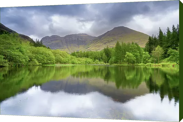 Reflection of trees and mountains on Torren Lochan, Glencoe, Scottish Highlands, Scotland, UK