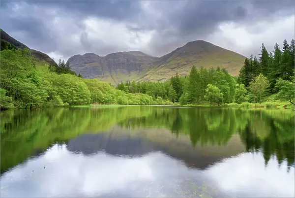 Reflection of trees and mountains on Torren Lochan, Glencoe, Scottish Highlands, Scotland, UK