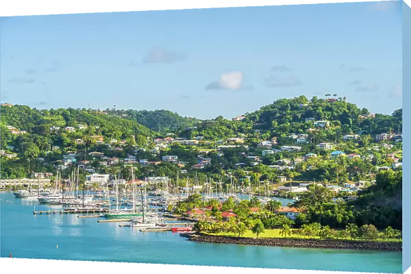 Elevated view over Port Louis Marina, St Georges, Grenada, Caribbean