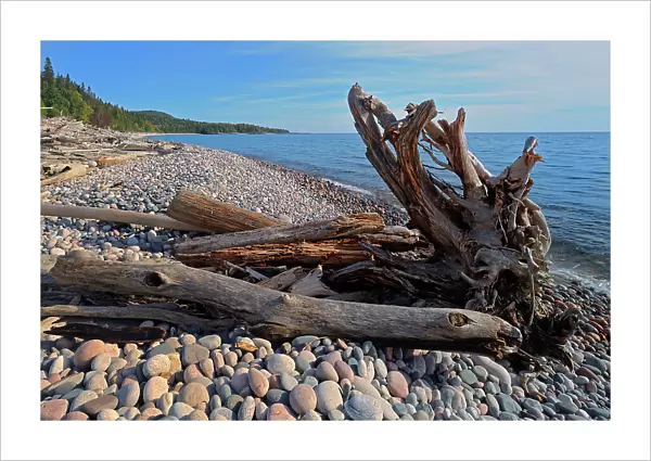 Driftwood along Pebble Beach on Lake Superior Marathon, Ontario, Canada