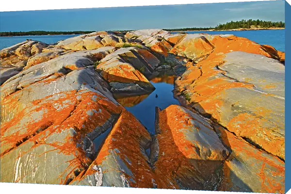 orange lichens surround a pool on pre-cambrian rock on Georgian Bay South of Philip Edward Island near Killarney, Ontario, Canada