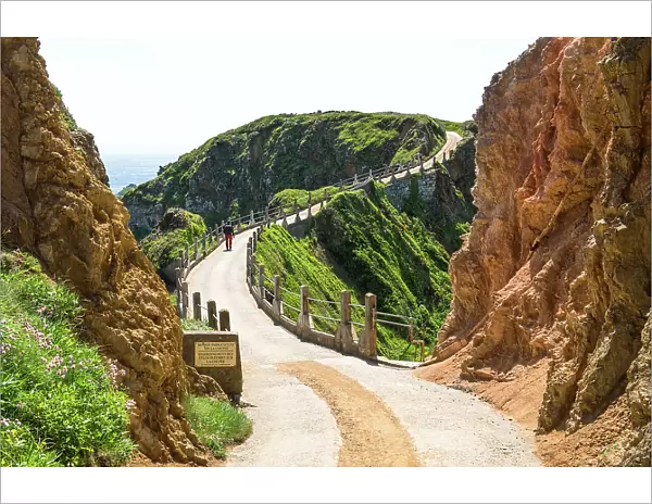A walker crossing La Coupee, an isthmus joining Great Sark and Little Sark, three metres wide and with a drop of 80 metres on either side, Isle of Sark, Channel Islands (MR)