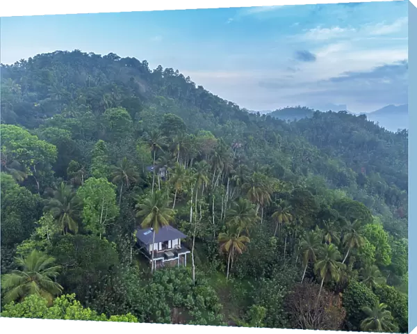 Asia, Sri Lanka, Kandy, Aarunya Nature Resort & Spa; luxury bungalows in the forest with mist rising from the moutains