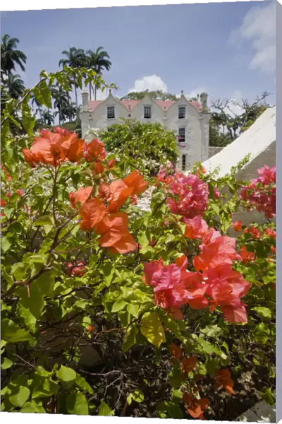 20067262. WEST INDIES Barbados St Peter The Jacobean plantation house