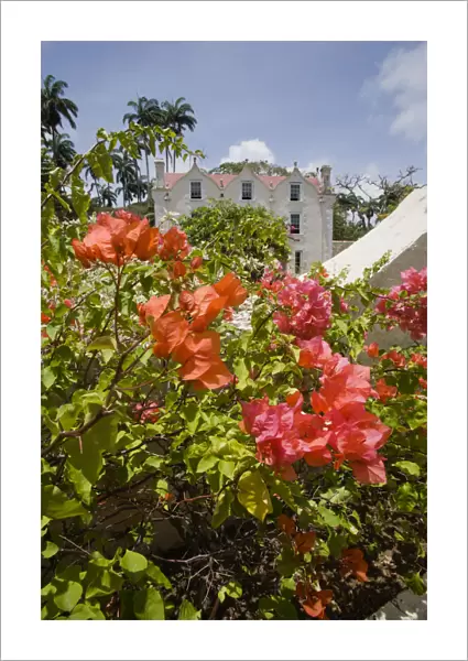 20067262. WEST INDIES Barbados St Peter The Jacobean plantation house