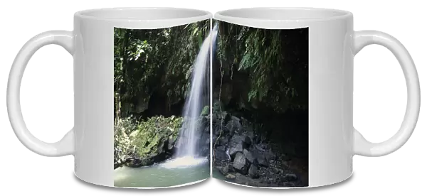 10060112. WEST INDIES Dominica Emerald Pool Waterfall