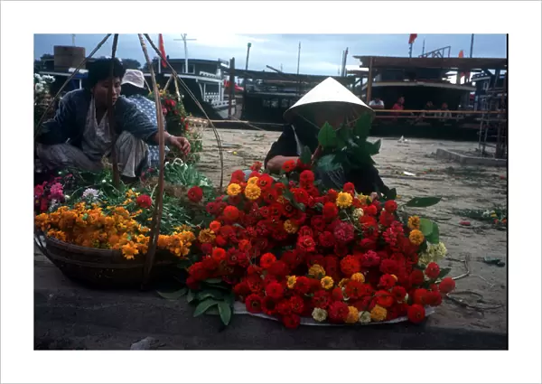 10066791. VIETNAM Da Nang Flower Vendors