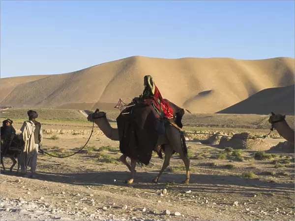 20085058. AFGHANISTAN Desert Kuchie camel train between Maimana and Mazar-I-Sharif