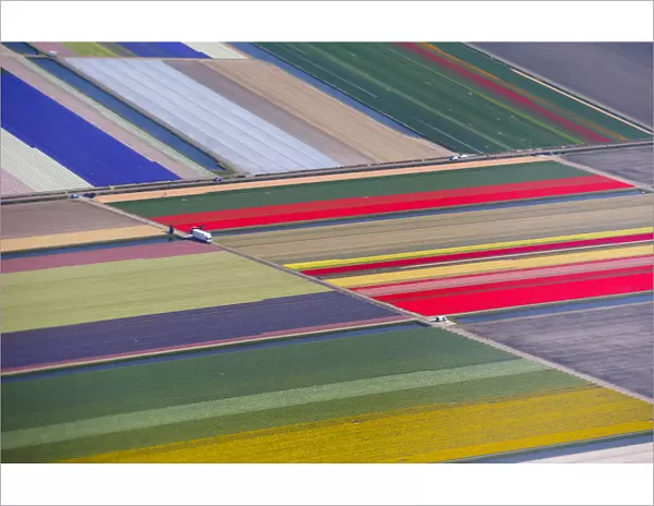 Aerial view of flower fields near the Keukenhof park, also known as the Garden of