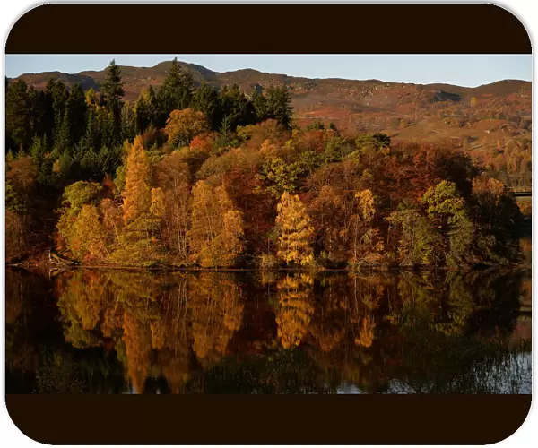 Autumnal leaves are reflected on Loch Faskally, near Pitlochry, Scotland
