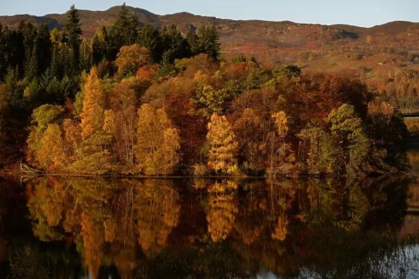 Autumnal leaves are reflected on Loch Faskally, near Pitlochry, Scotland