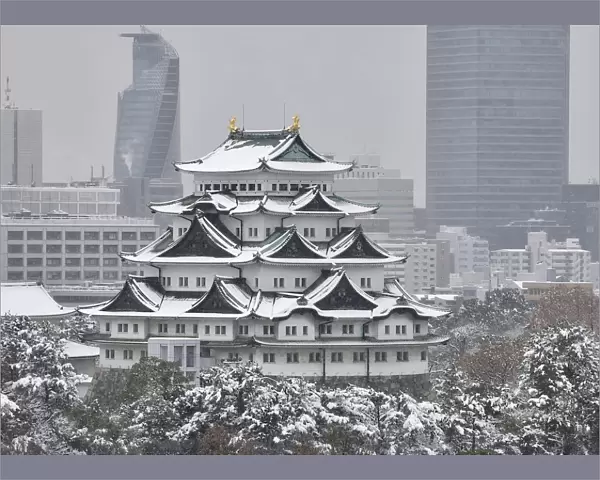 Nagoya Castle is seen covered with snow in Nagoya, central Japan