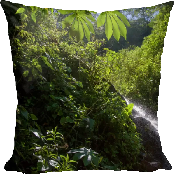 A small cascade is seen at the Manu Biosphere Reserve Cloud Forest in Perus southern