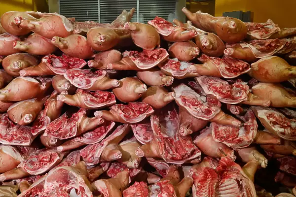 Chopped pork meat is seen at a meat processing factory in Minsk