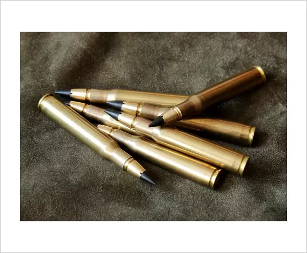 Lutz Moeller. 30-06 hunting cartridges with MJG lead free bullets are seen in Vienna
