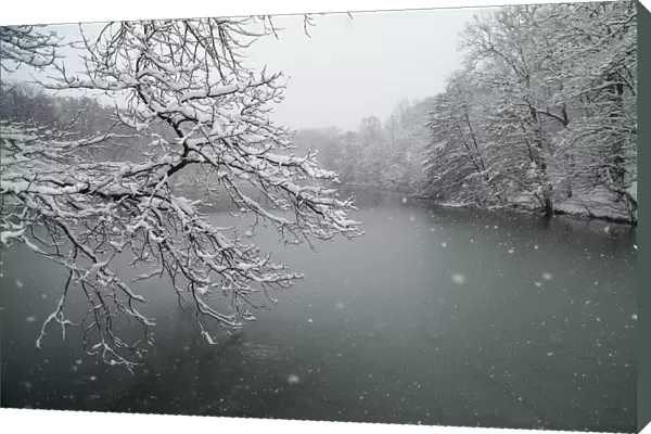 Snow falls in Zagrebs park Maksimir
