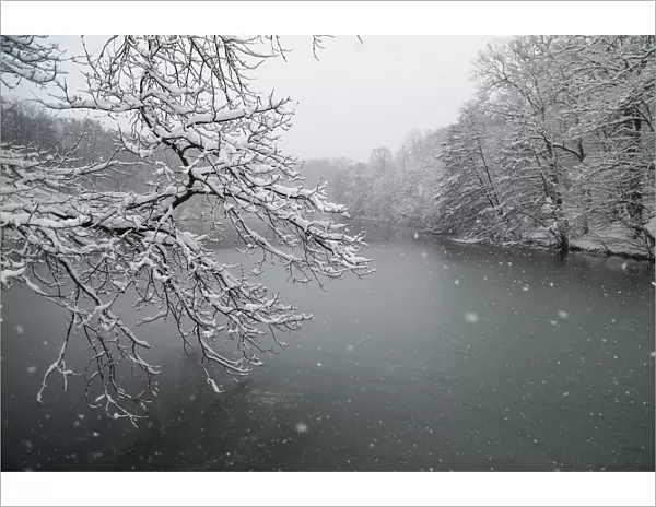 Snow falls in Zagrebs park Maksimir