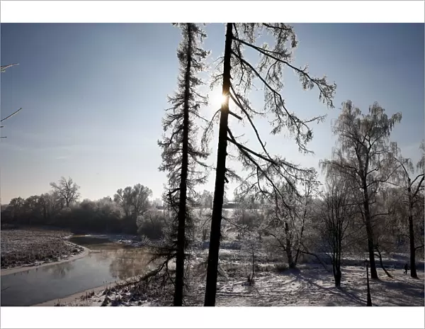 Man walks on a frosty winter day at a park in Minsk