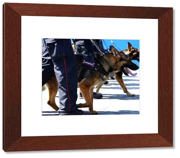 Italian Carabinieri march with dogs during the Republic Day military parade in Rome