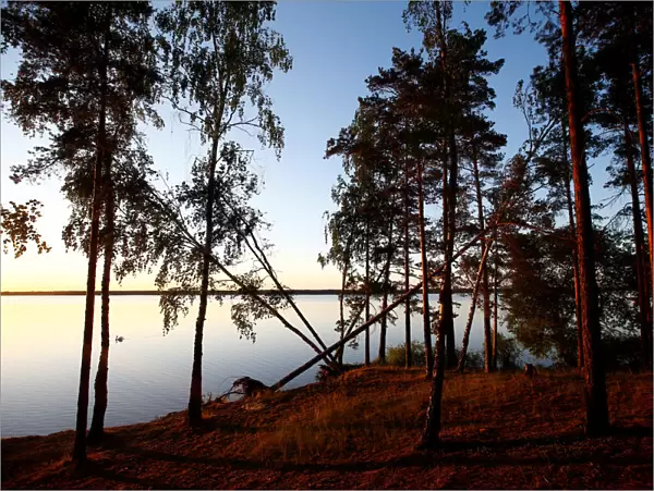 A shore of a lake is lit by the setting sun near the town of Vileika