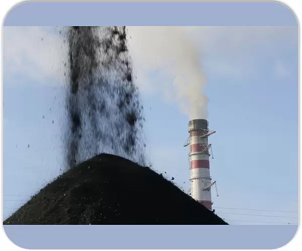 A pile of coal is seen at a warehouse of the Trypillian thermal power plant in Kiev