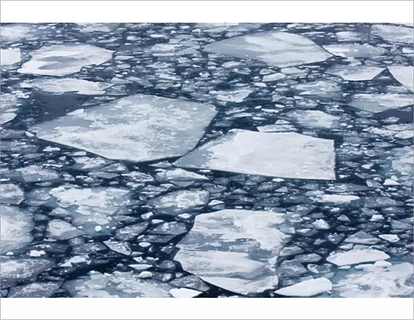 01988dt. Broken pack ice - Brash Ice in Weddell Sea Antarctic