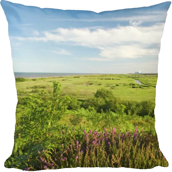 View across Minsmere RSPB Reserve from Dunwich Suffolk July