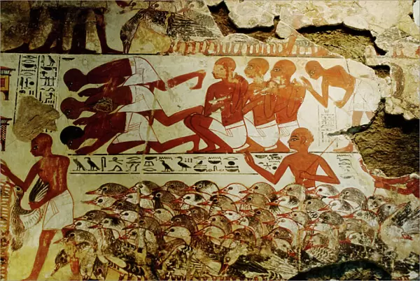 Mural from tomb-chapel of Nebamun at Thebes Egypt. Nebamun was an Ancient Egyptian Nobleman