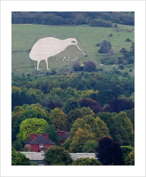 Chalk Kiwi on Beacon Hill above Bulford Wiltshire Kiwi was constructed to commemorate