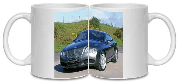 Bentley Continental GT, 2003, Grey-green