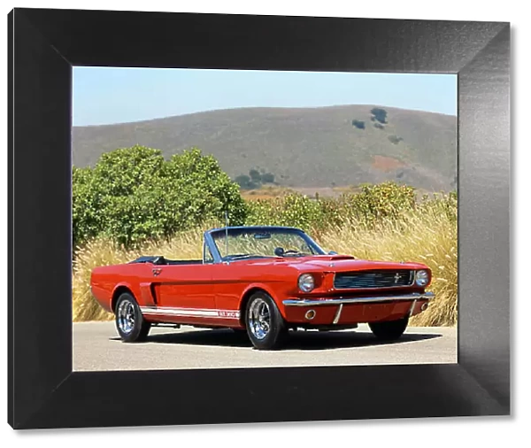 Shelby GT350 Mustang Convertible Carroll Ford