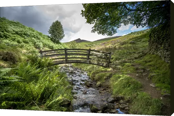 View with footbridge over stream, with Rowan (Sorbus aucuparia), heather and bracken on moorland, Grindsbrook Clough